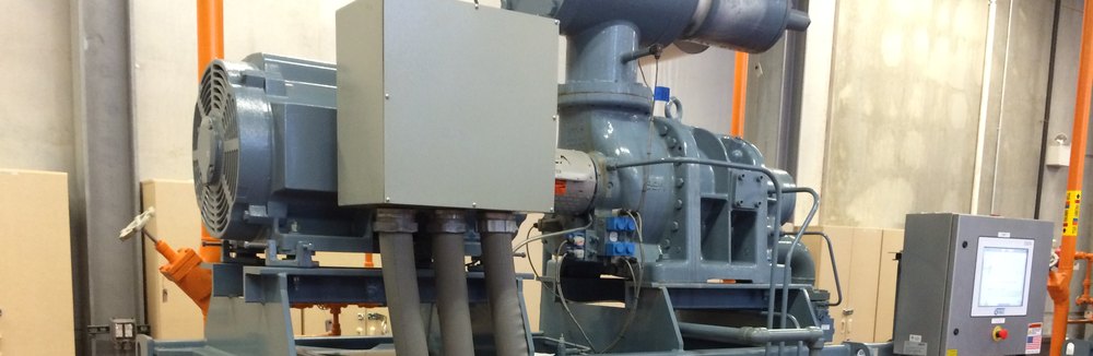 Screw compressor package and drive motor in an industrial refrigeration plant room