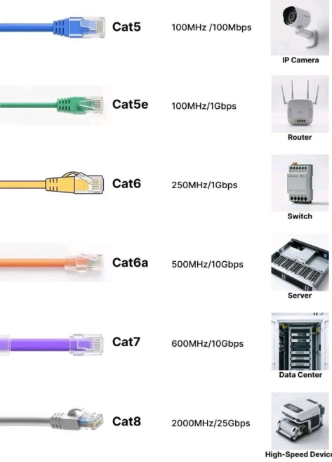 A Complete Guide to Network Cables: Choose the Right Cable for Every Networking Need