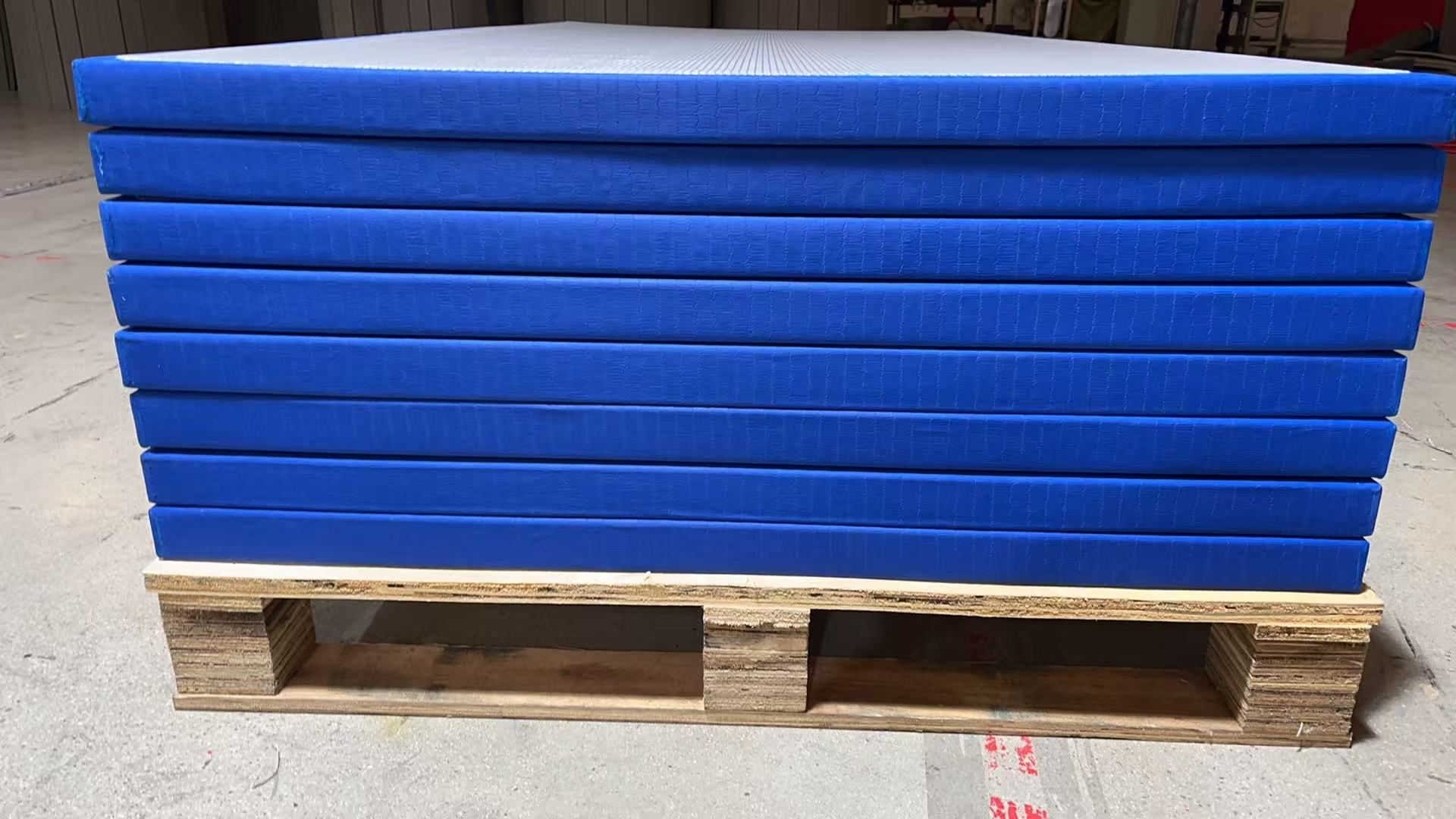 High-Density Judo Mat