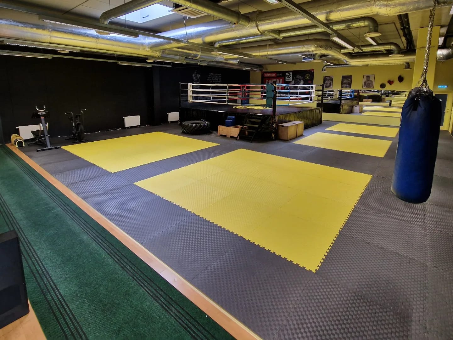 Stand-up martial arts training on EVA mats