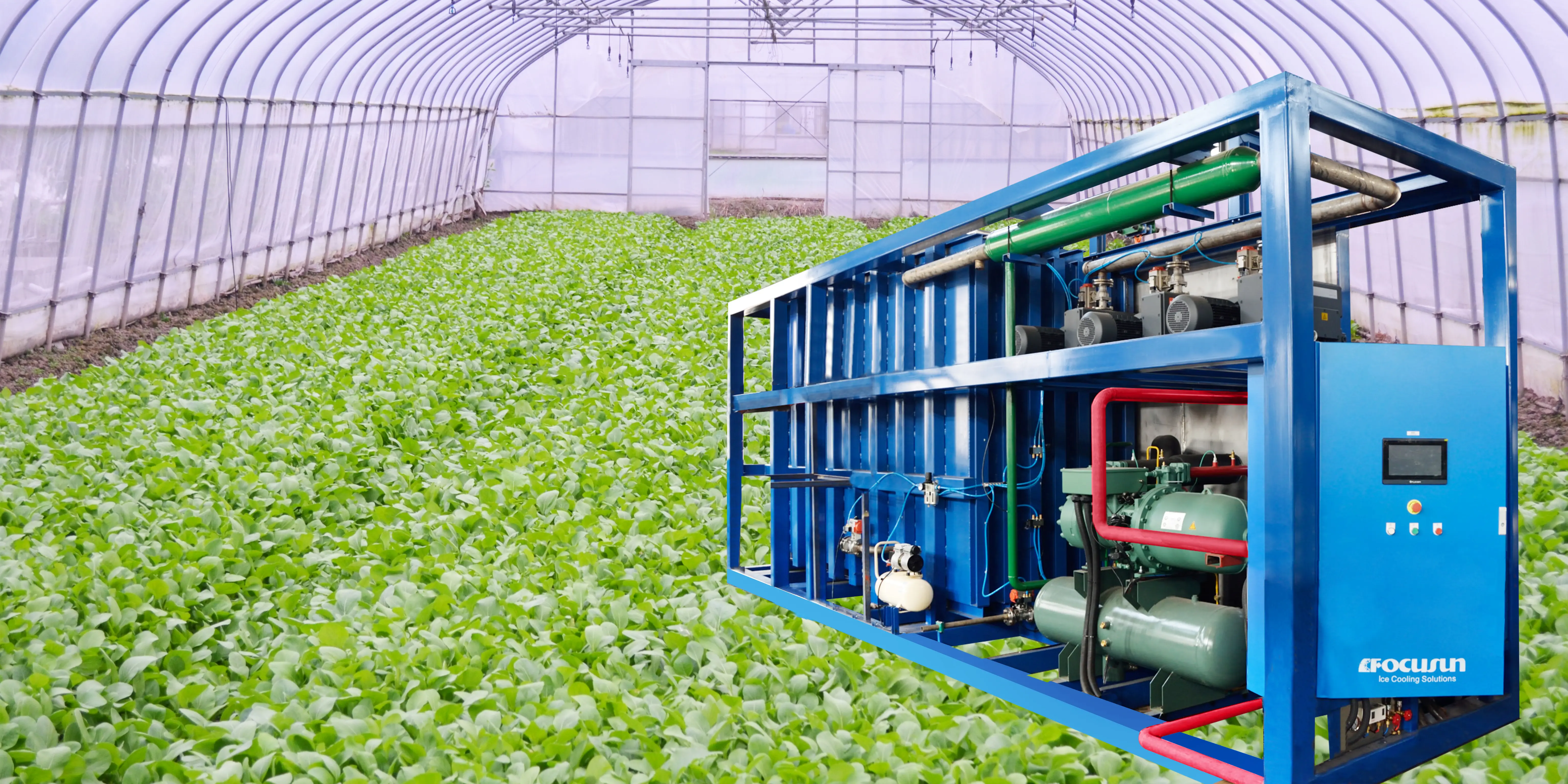 Vacuum Cooler for Fruits & Vegetables to Maintain Freshness After Harvest