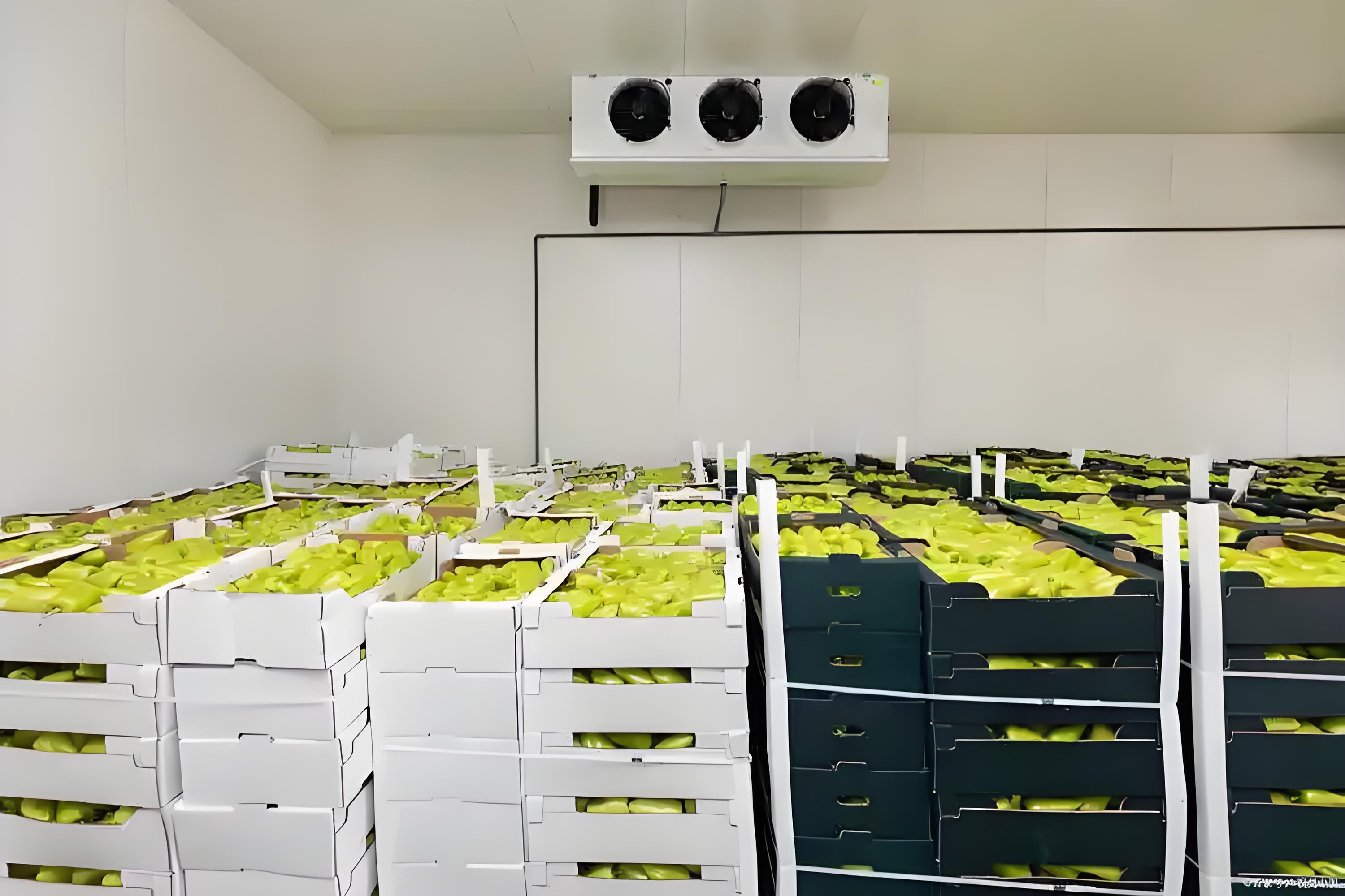 Energy-efficient commercial walk-in cooler featuring custom multi-temperature zoning for supermarkets and catering suppliers.