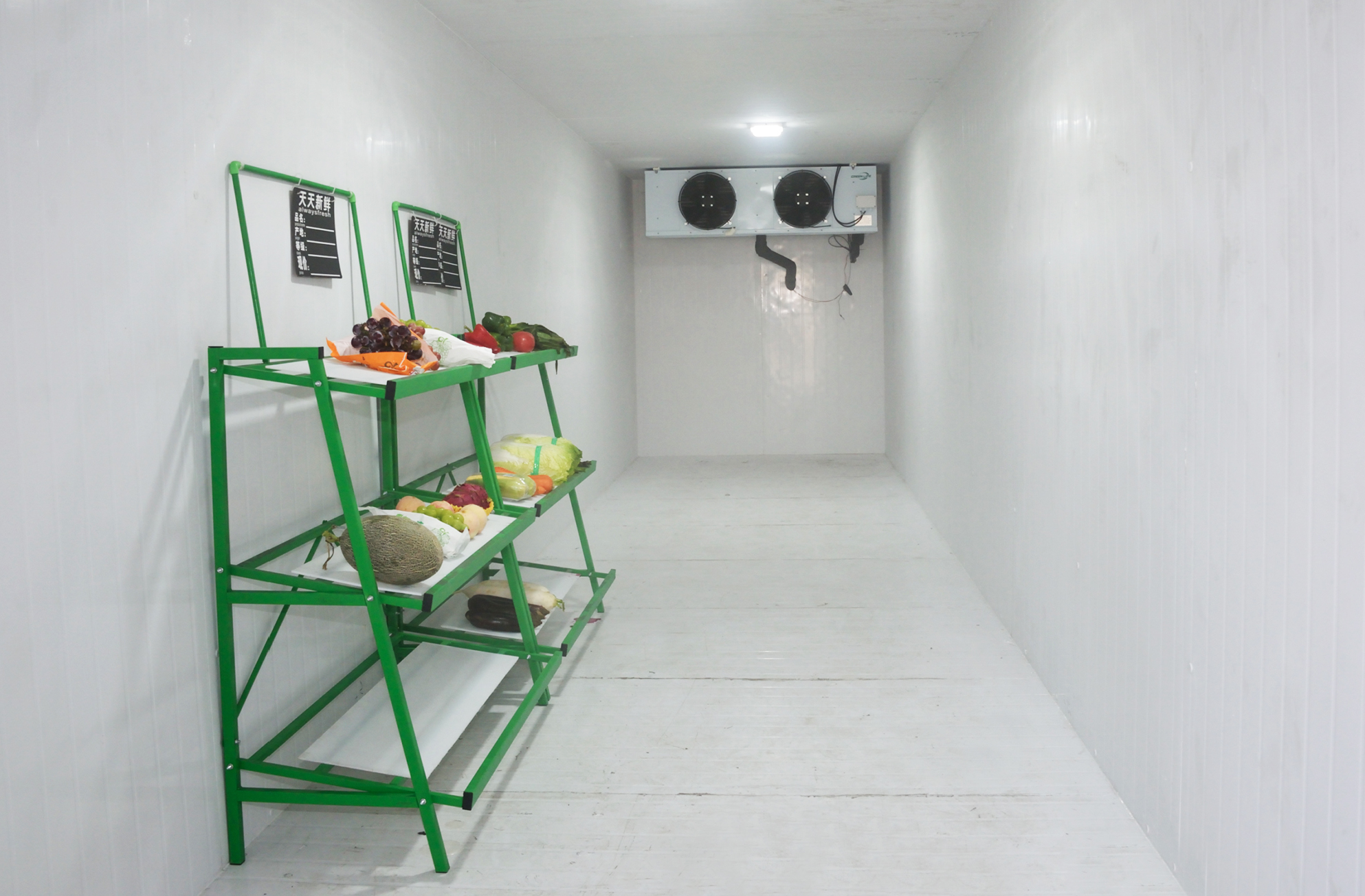 Interior of cold room showing airflow and product storage layout