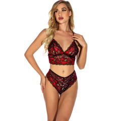 Women Bra Set with Panties Sexy Vallentine Day Sheer Lace Underwear PQ201701A