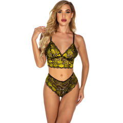 Women Bra Set with Panties Sexy Vallentine Day Sheer Lace Underwear PQ201701A