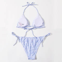 Digital Printed Bikini Sets For Women Spring Swimming Suit Low Waist Micro Beachwear PQ00123