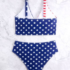 Plus Size American Flag Two Piece Swimsuit, High Waisted Bikini PQ4046
