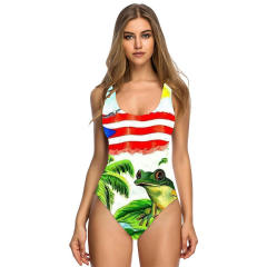 Women's American Flag One-Piece Swimsuit, Patriotic Print Swimwear PQ155