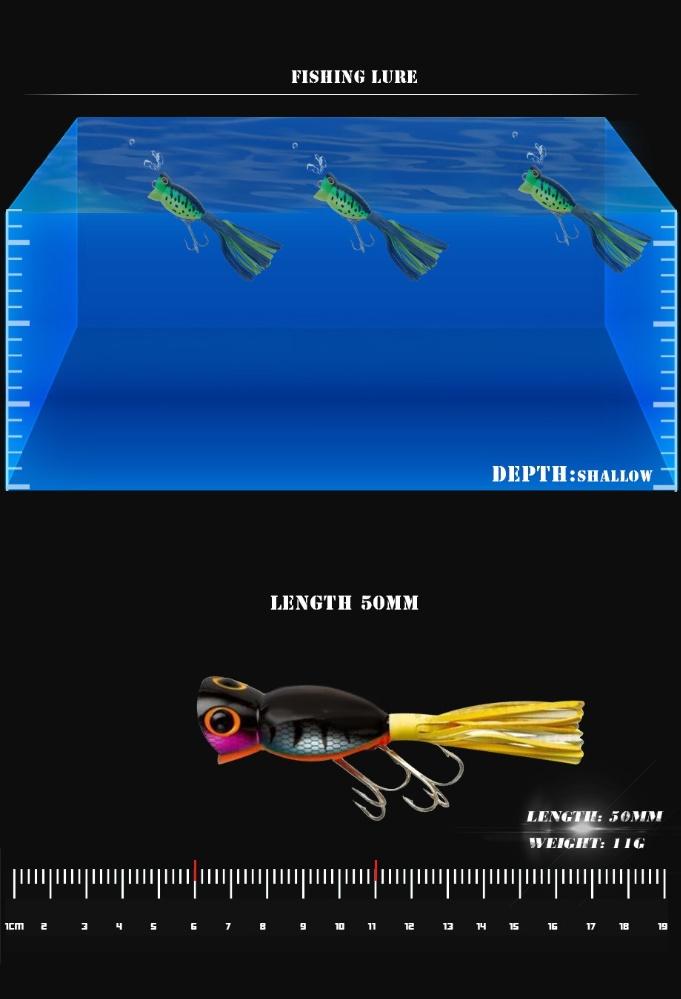 fishing lures display