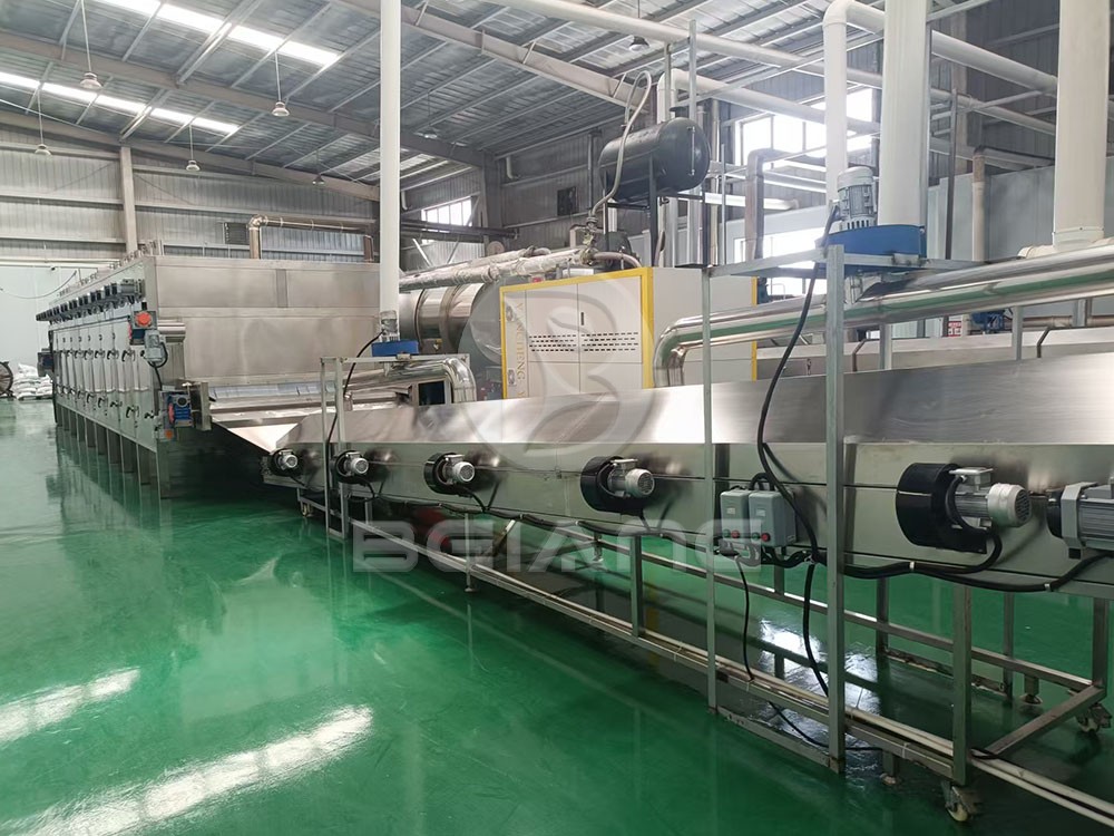 Automated cashew nut roasting machine