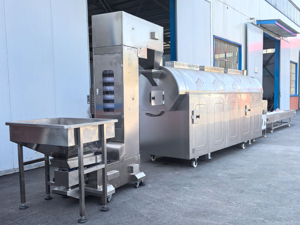 Continuous nut roasting line