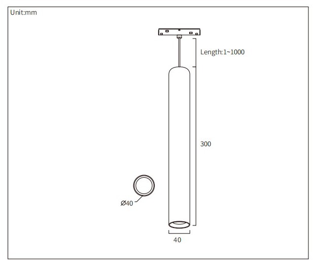 HS-CXD300 dimension drawing: Ø40 mm cylinder tube 300 mm long, 1 to 1000 mm adjustable suspension, Ø40 mm lens opening