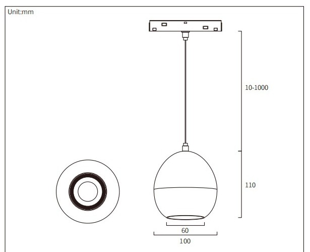 HS-CXDYT100 dimension drawing: Ø100 mm globe 110 mm deep with a Ø60 mm base and a zoomable lens, 10 to 1000 mm suspension