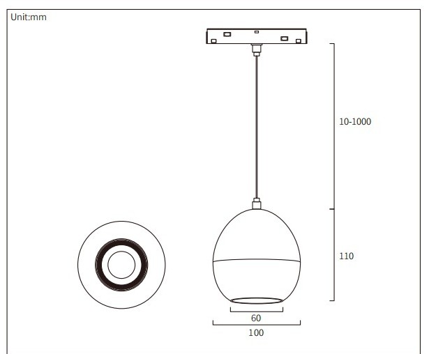 HS-CXDY100 dimension drawing: Ø100 mm globe 110 mm deep with a Ø60 mm base, 10 to 1000 mm adjustable suspension