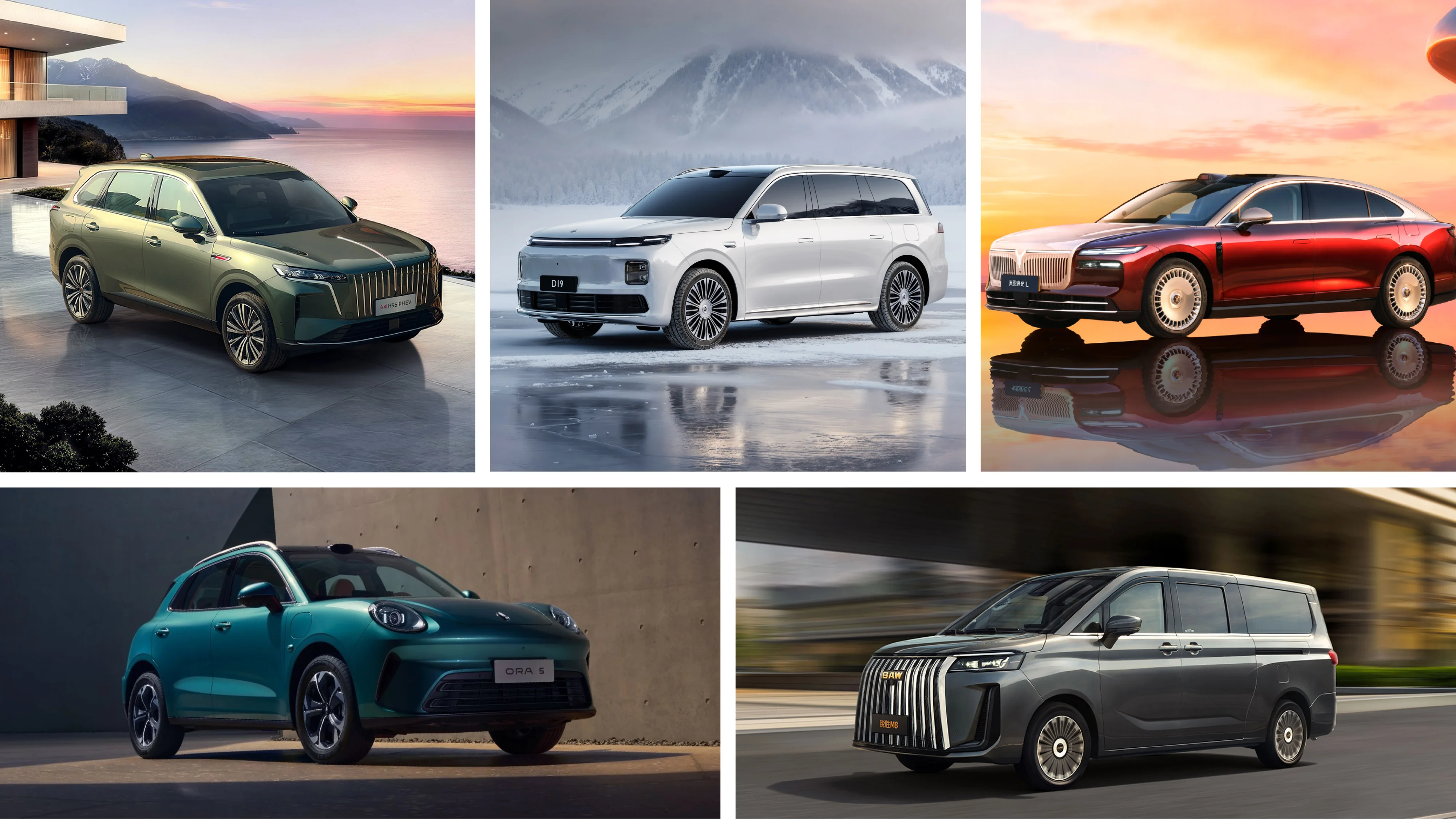 Comparison chart of five new Chinese export models: Voyah L, Hongqi HS6 PHEV, Leapmotor D19, ORA 5, and Ruisheng M8.
