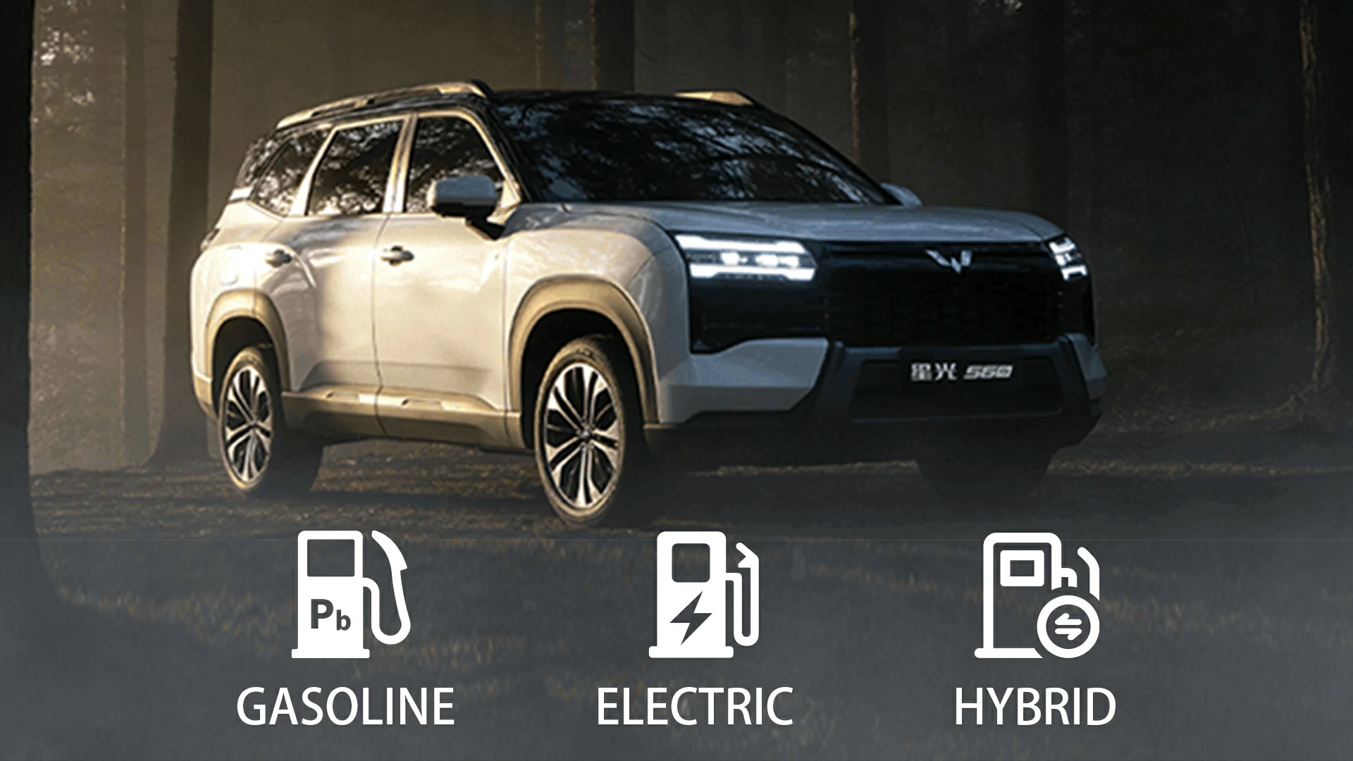 The infographic shows the three powertrain options for the Wuling Xingguang 560: gasoline, plug-in hybrid (PHEV), and battery electric (BEV).