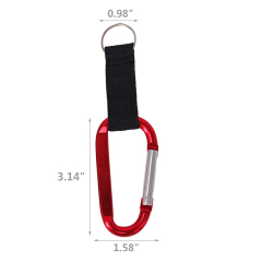 Carabiner With Key Chain