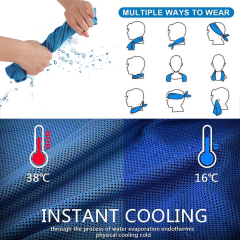 Sports Cooling Towel
