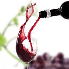 Dual Ring Shaped Wine Drip Stopper Collar Ring