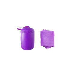 Instant Dry Cooling Towel With Pouch