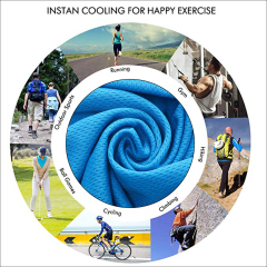 Sports Cooling Towel