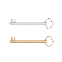 Big Ring Key Shaped Pen