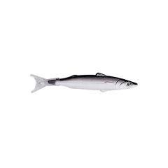 Fish Shaped Pen