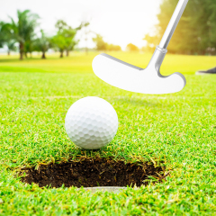 Two-Way Golf Putters