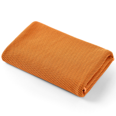 Cooling Sports Towel