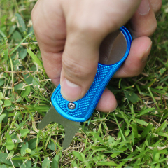 Collapsible Green Fork for Spring