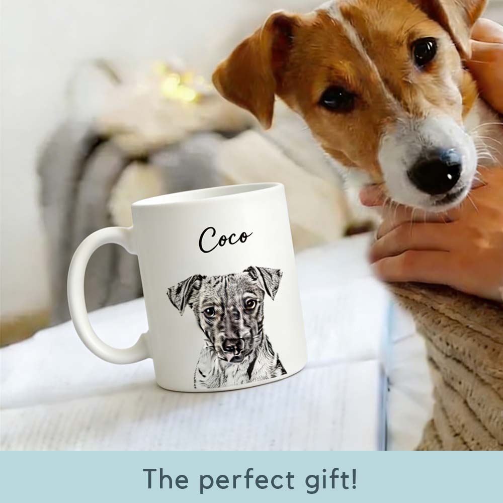 Pet Home