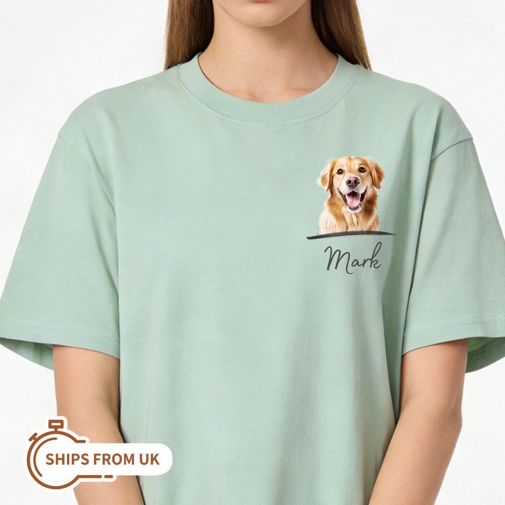 Pet Lifestyle Accessories