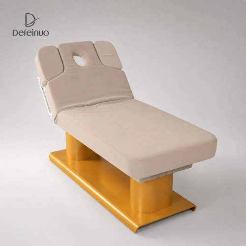 Defeinuo DN0011 luxury four-motor electric beauty bed