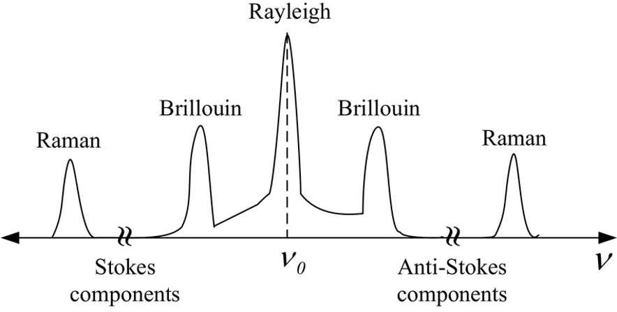 Theoretical Principle-DAS and DTS
