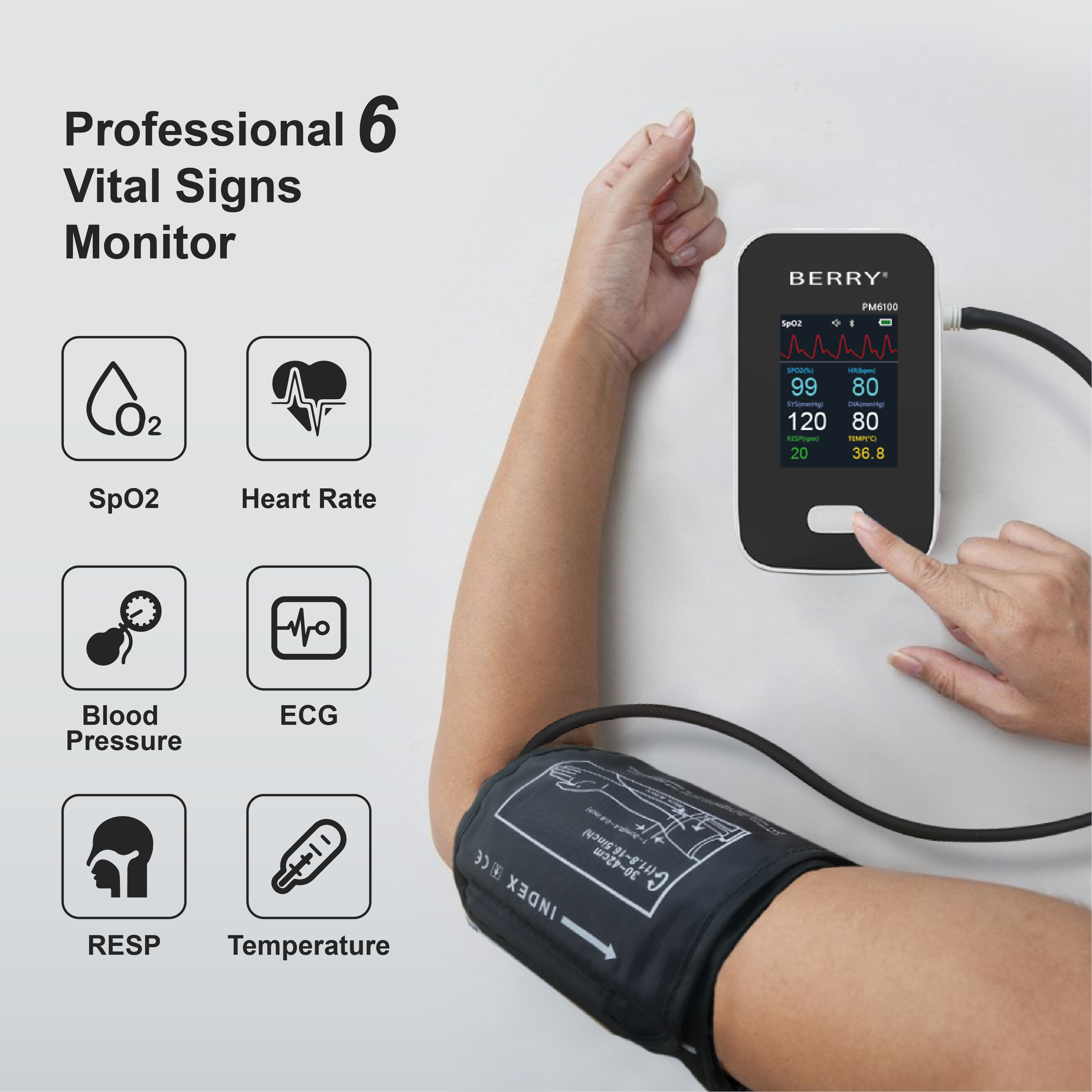 PM6100 patient monitor alternate device view