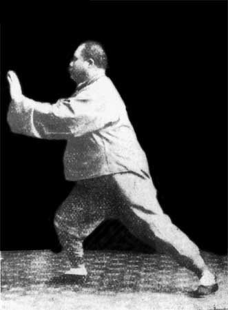 yang-tai-chi-ten-principles