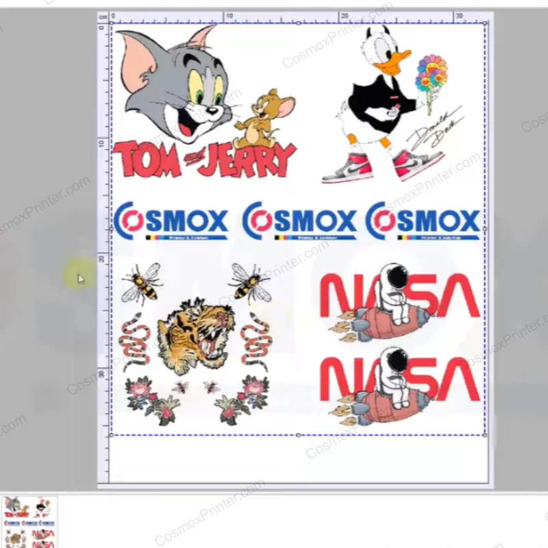 cosmox rip software for dtf printer