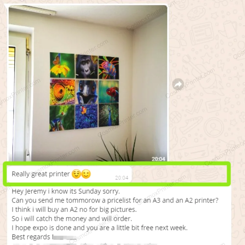 Germany 6090 uv printer user print on canvas and decorate the wall