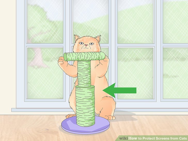 How to Protect Screens from Cats