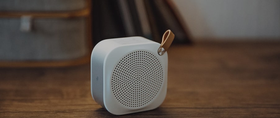 Ut vitae nibh id massa euismod