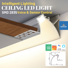 Ceiling Lighting Linear Lights LED Recessed Aluminum Profile Intelligent Lights Voice Control TUYA  APP Control Lighting Automation