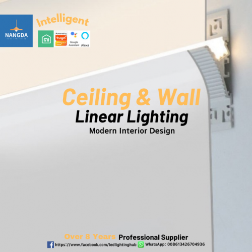 Modern Interior Design Ceiling & Wall Light Linear Lighting Intelligent Light Voice Control