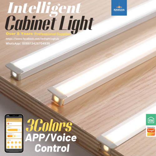 10x10mm Intelligent Cabinet Light  Embedded Light  3 colors LED light  APP Voice Control Lighting automation