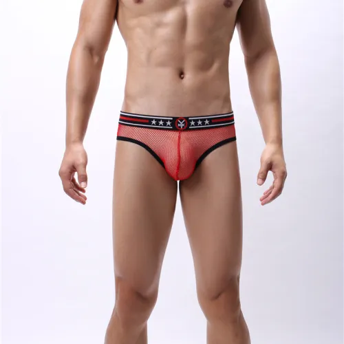 Hole Gay Underpants Men Fetish Briefs Sissy Mesh Shorts PQA4-48A