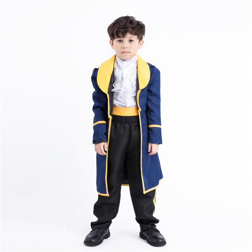 Fairy Tale Princess Costume For Boy Anime King Cosplay Clothing PQPS5055