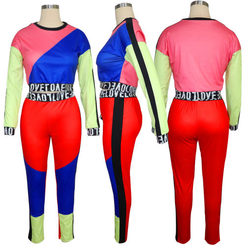 Long Sleeve Sport Trendy Clothing Crew Neck Autumn Short Tops PQQM3664