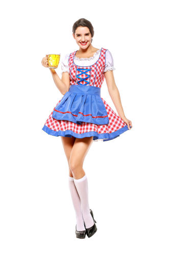 Bavarian Beer Girl Costume European Carnival Cosplay Dress PQPS7208