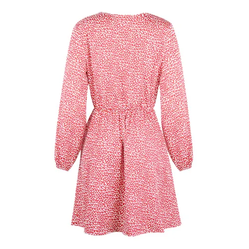 Long Sleeve Autumn Casual Dress V-neck Print Dress PQOM9121
