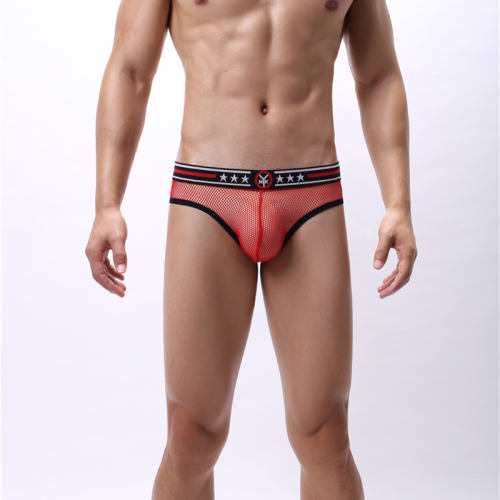 Men Fetish Briefs Sissy Mesh Shorts Hole Gay Underpants PQA4-48B