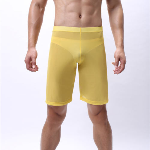 Sexy Mesh Summer Lingerie Men Fetish Knee Length Pants PQA4-54B